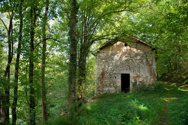 Stary dom w lesie — Zdjęcie stockowe