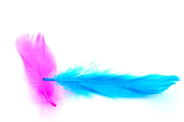 Pink and blue — Stock Photo, Image