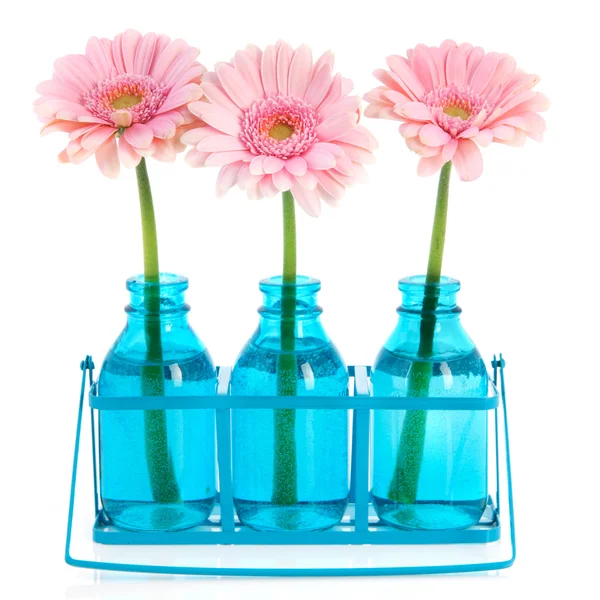 Różowy gerber w wazonach niebieski — Zdjęcie stockowe