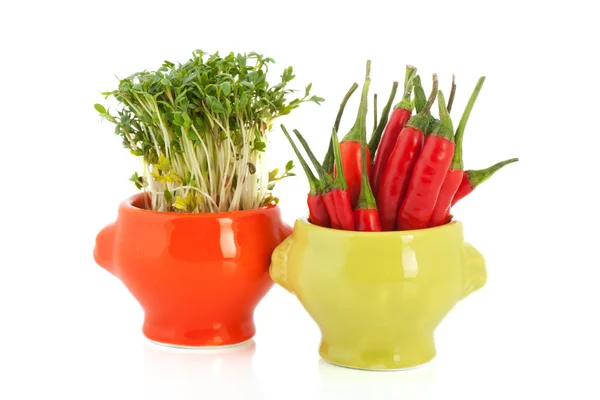 Colorful bowls with cress and red pepper — Stock Photo, Image