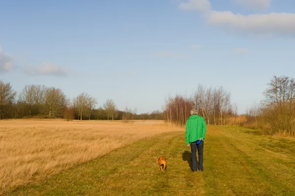 Walking the dog in nature — Stock Photo, Image