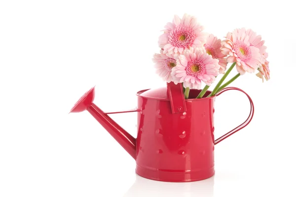 Pink watering can with flowers — Stock Photo, Image