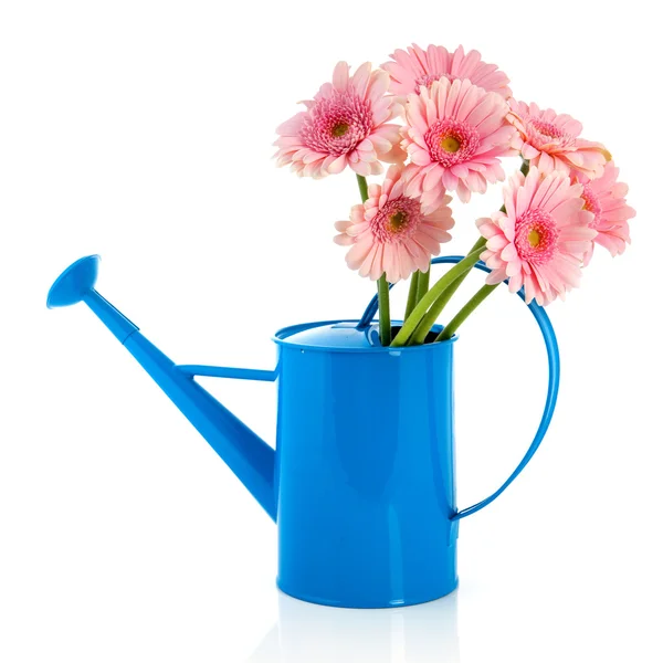 Bidón azul con flores rosadas —  Fotos de Stock