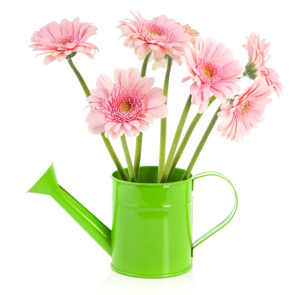 Green watering can with flowers — Stock Photo, Image
