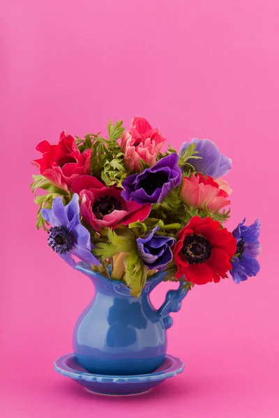 Colorful bouquet Anemones — Stock Photo, Image
