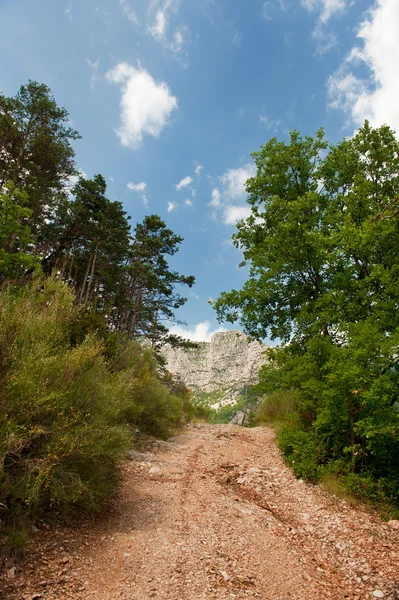 Caminho a pé na Haute Provence — Fotografia de Stock