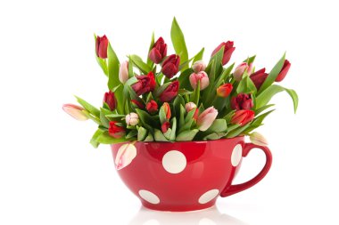 Big cup of tulips clipart