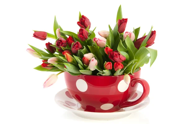 Velký šálek a talířek s tulipány — Stock fotografie