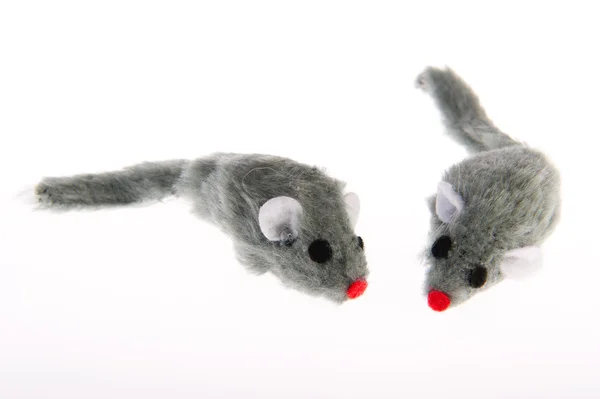 Zwei Mäuse — Stockfoto