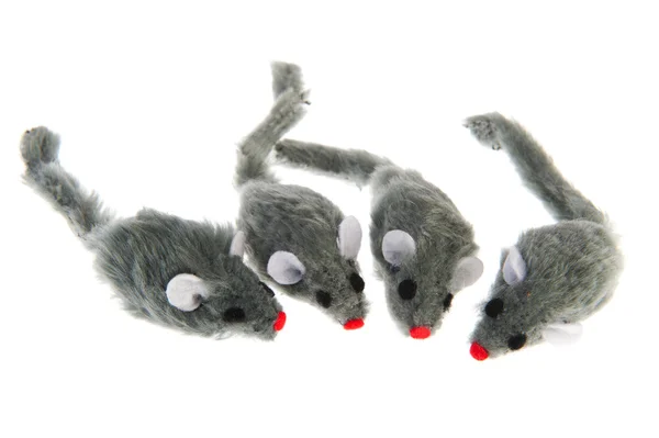 Vier Mäuse — Stockfoto