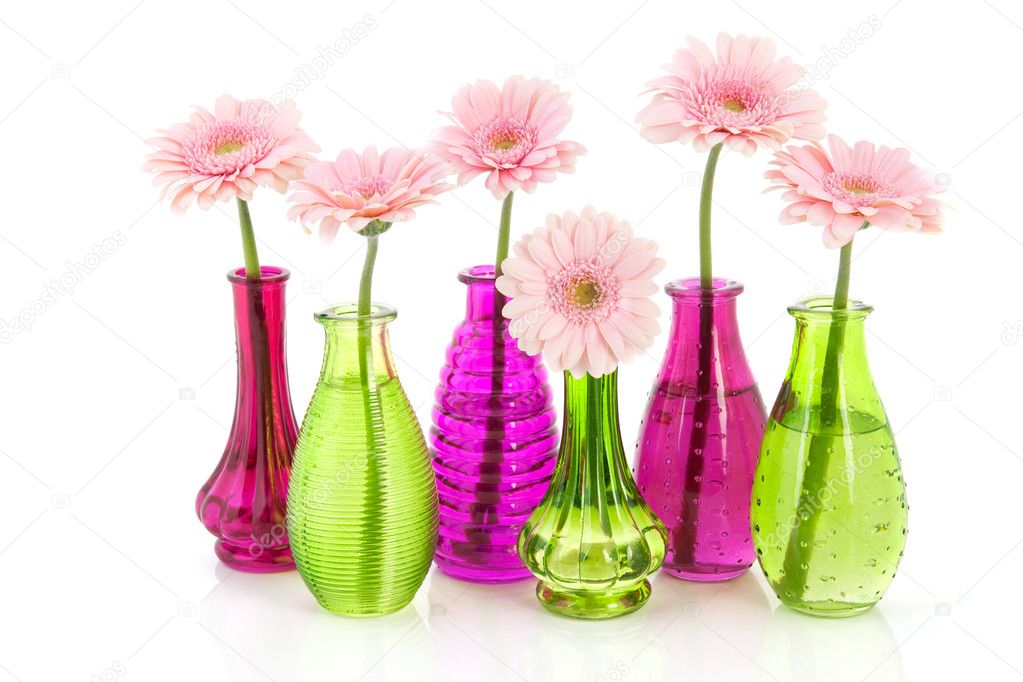 Pink Gerber in glass vases