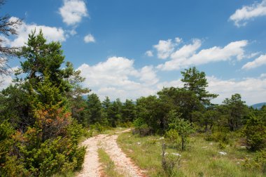 doğanın yolu