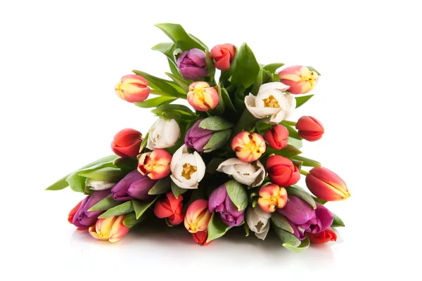 カラフルな花束チューリップ — ストック写真