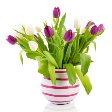 Colorful bouquet tulips clipart