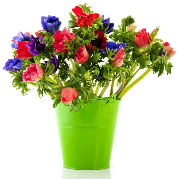 Bouquet Anemones — Stock Photo, Image