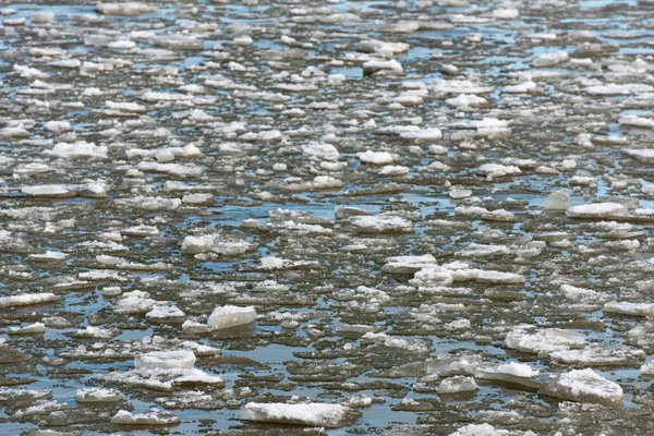 Παρασύρεται πάγου στη θάλασσα — Φωτογραφία Αρχείου
