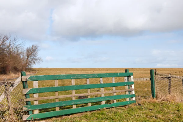 Typical Dutch empty landscape — Stock Photo, Image
