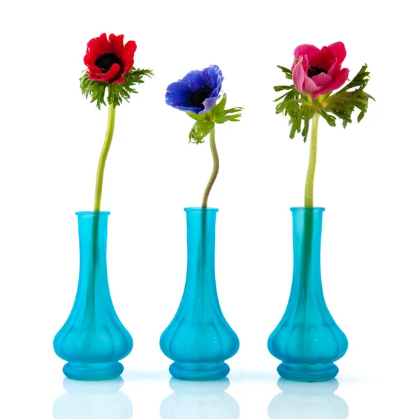 Little blue vases Anemones — Stock Photo, Image