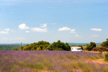 Mobile home in French lavender fields clipart