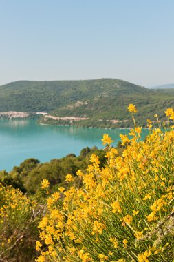 lac de saint croix de bauduen