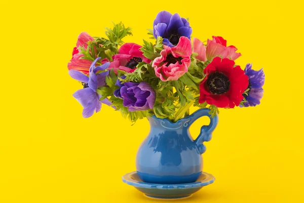 Bouquet coloré Anémones — Photo