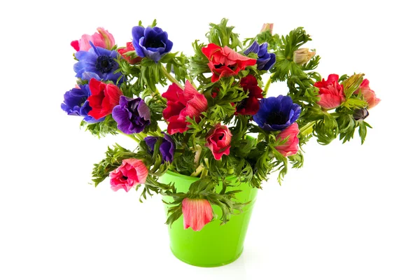 Bouquet Anemones — Stock Photo, Image