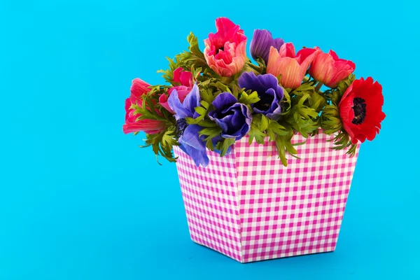 Bouquet Anémones sur fond bleu — Photo
