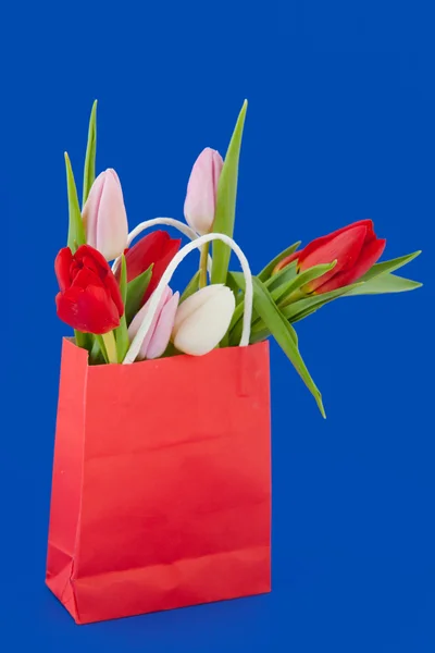 Bolsa de compras con tulipanes coloridos —  Fotos de Stock