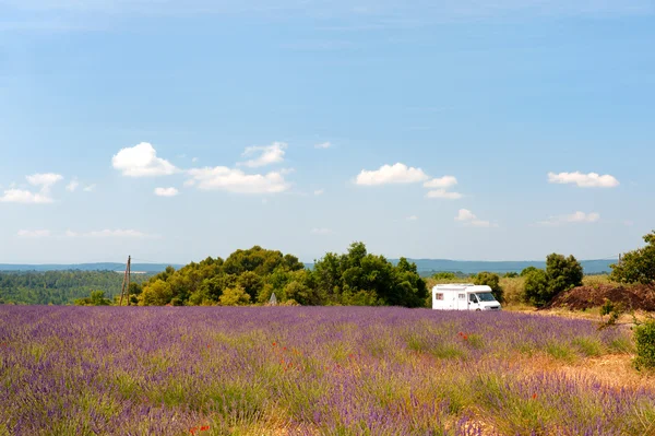 Мобильный дом во французских лавандовых полях — стоковое фото