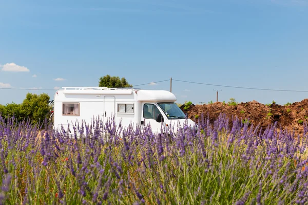 Mobile home in French lavender fields — Stock Photo, Image