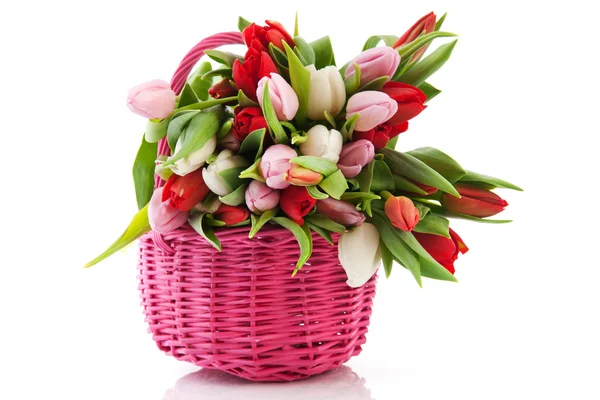 Pink basket with tulips — Stock Photo, Image