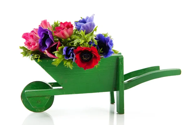 Bouquet Anemones in wheel barrow — Stock Photo, Image