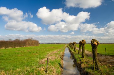 Typical dutch landscape clipart