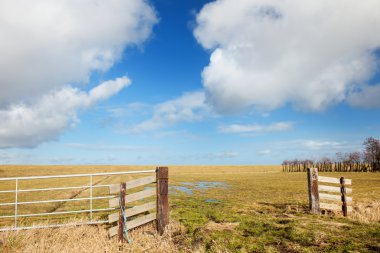 Typical Dutch empty landscape clipart