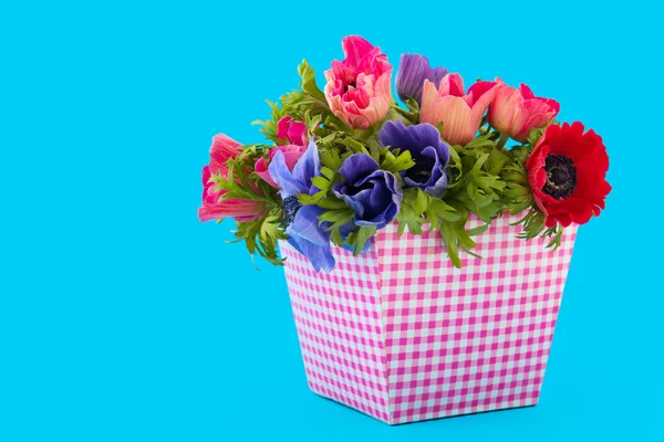 Bouquet colorato Anemoni — Foto Stock