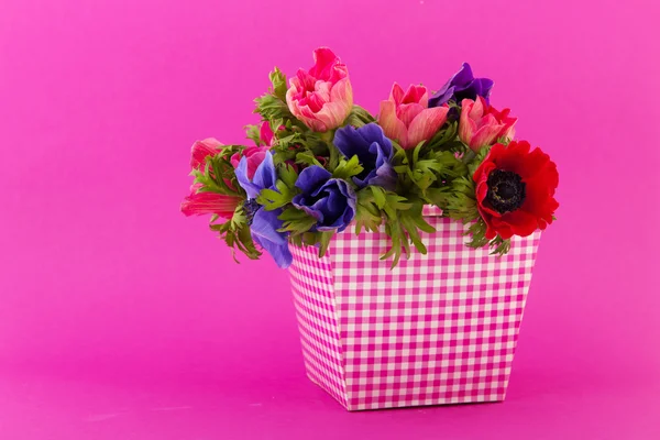 Colorful bouquet Anemones — Stock Photo, Image