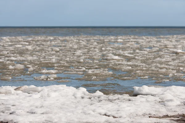 Παρασύρεται πάγου στη θάλασσα — Φωτογραφία Αρχείου
