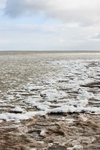 海氷の漂流 — ストック写真