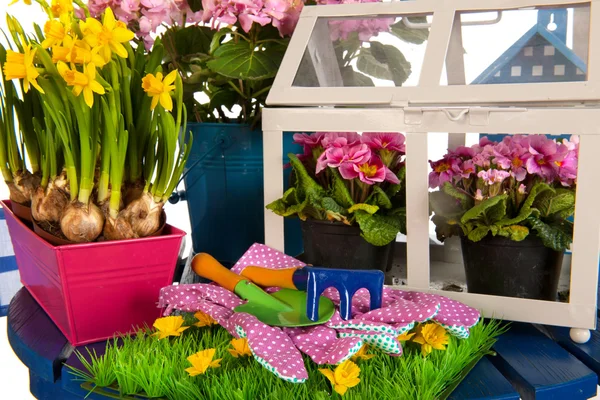 Tavaszi kertészkedés — Stock Fotó