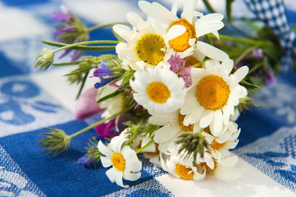Wild flower bouquet — Stock Photo, Image