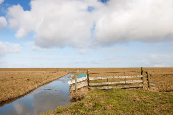 Typisch holländische leere Landschaft — Stockfoto