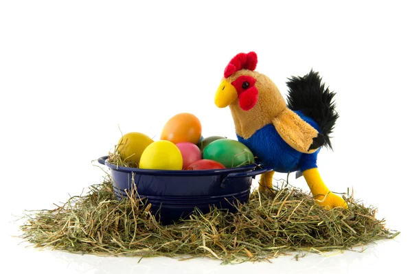 Blue bucket colorful easter eggs with chicken — Stock Photo, Image