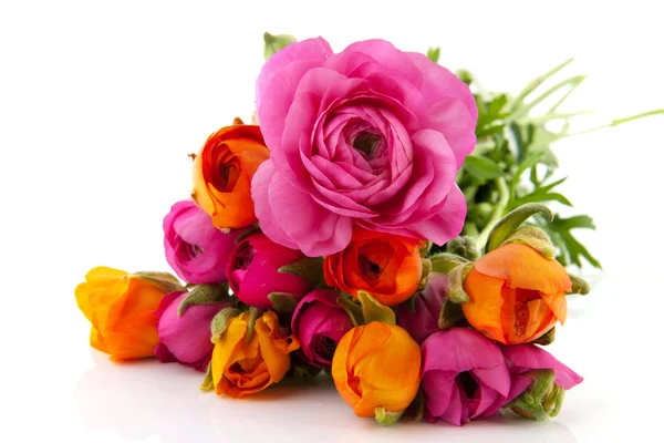 Розовые и оранжевые Лютики — стоковое фото