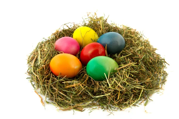 Nido colorido huevos de Pascua —  Fotos de Stock