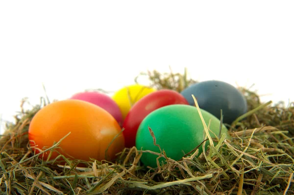 Nido colorido huevos de Pascua —  Fotos de Stock