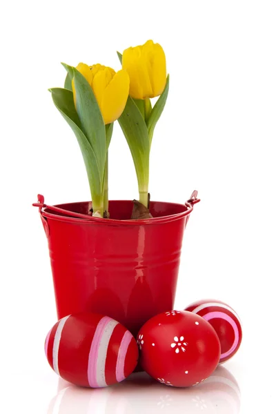 Röda och gula påsk — Stockfoto