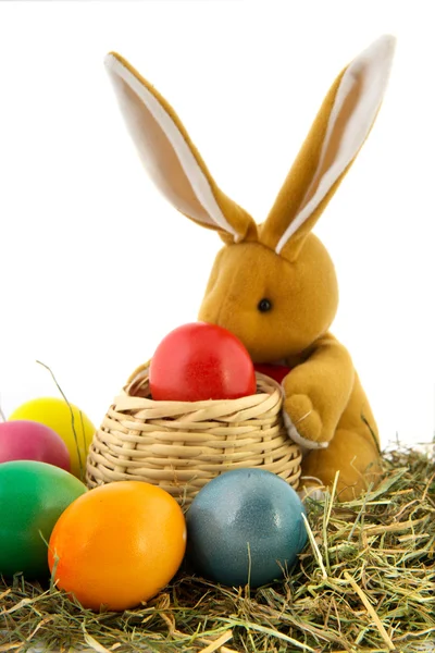 Великодній зайчик з різнокольоровими яйцями — стокове фото