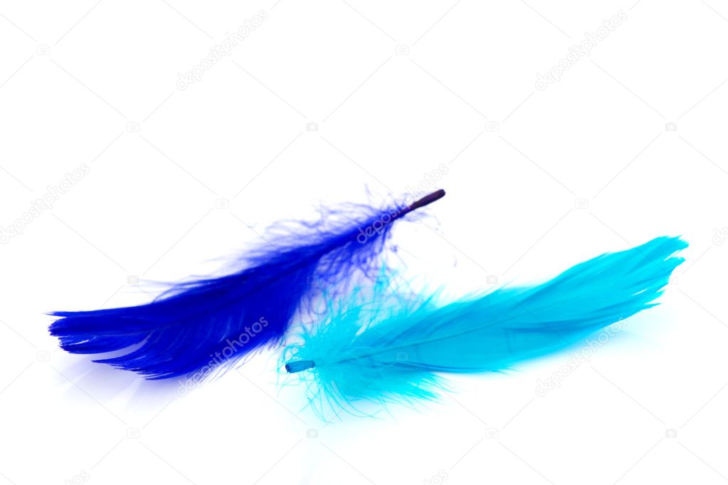 1,468,936 Blue Feathers Royalty-Free Images, Stock Photos & Pictures