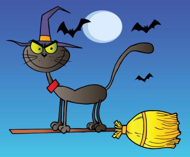 bir süpürge gece fly kara kedi
