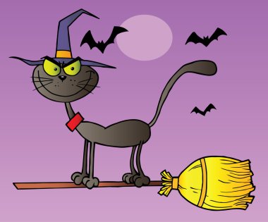 Halloween cadı kedi üzerinde mor bir süpürge üzerinde